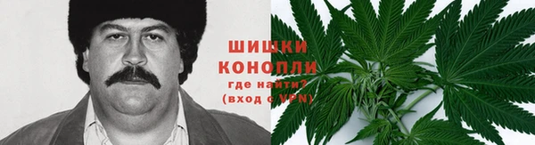 трава Ачинск