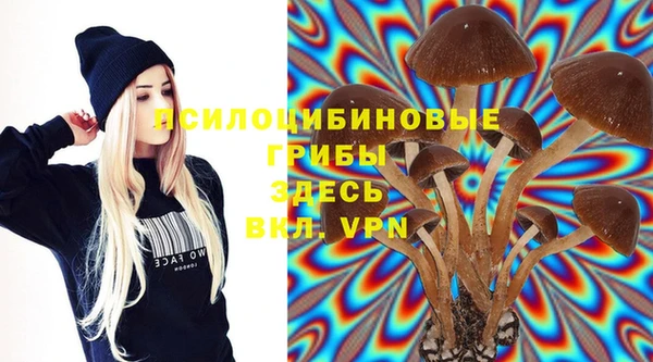 a pvp Аркадак