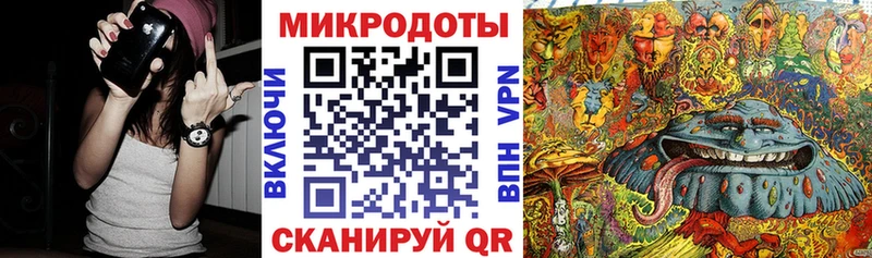 Галлюциногенные грибы Psilocybe  Бирюч 