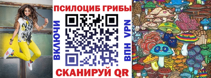 Псилоцибиновые грибы Psilocybine cubensis Бирюч